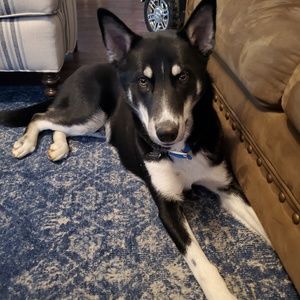 Meet your Posher, Danny